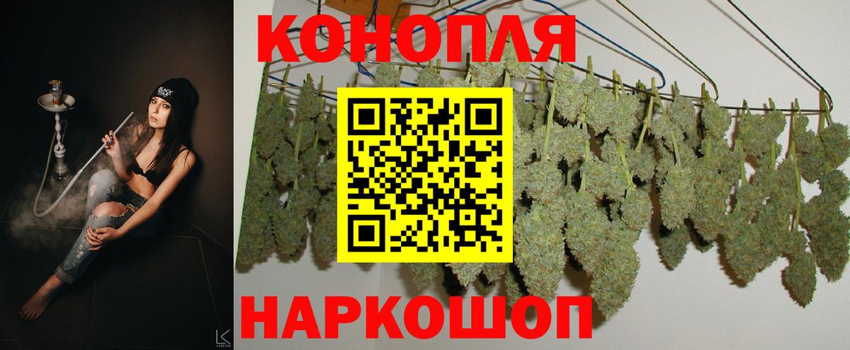 Марихуана сатива Клинцы